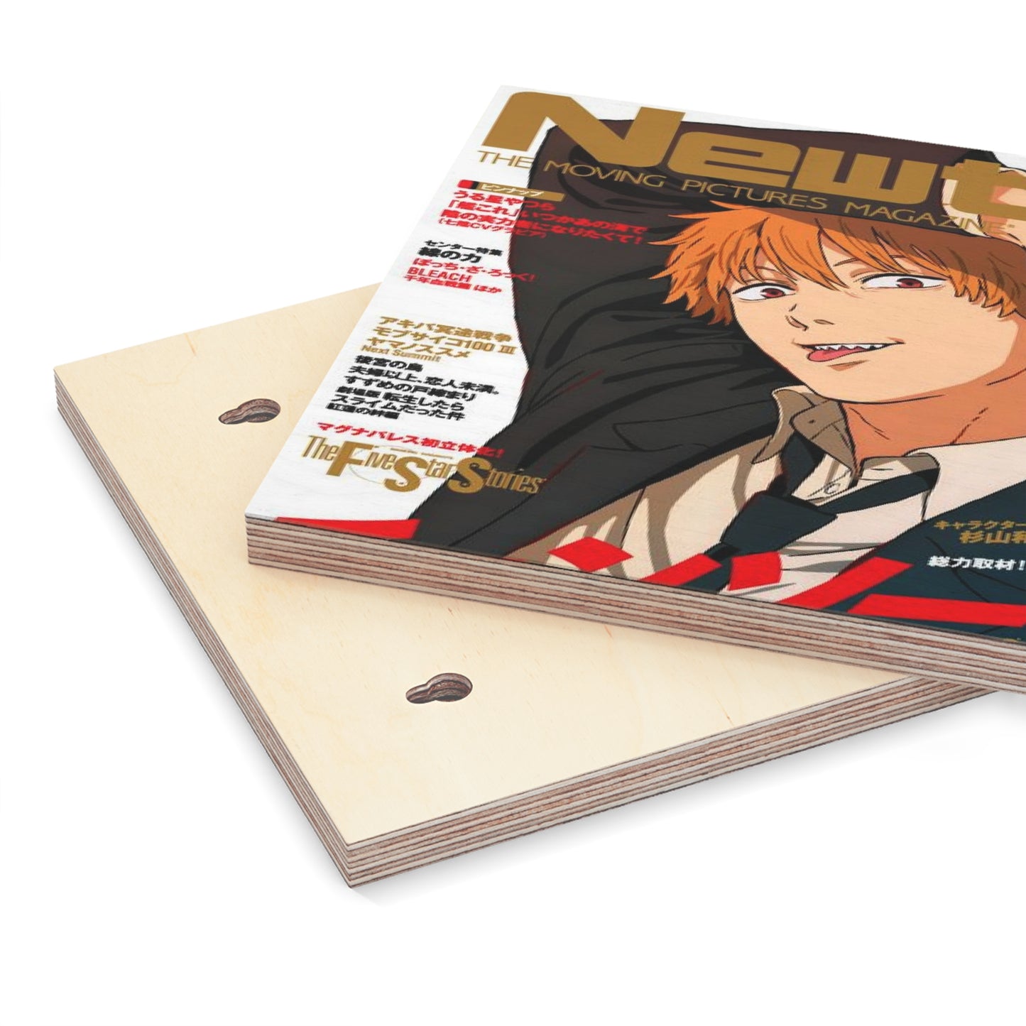 Denji Magazine Cover Wooden Canvas